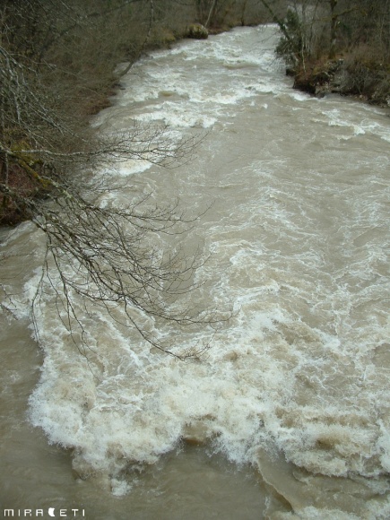 L'Allondon en crue