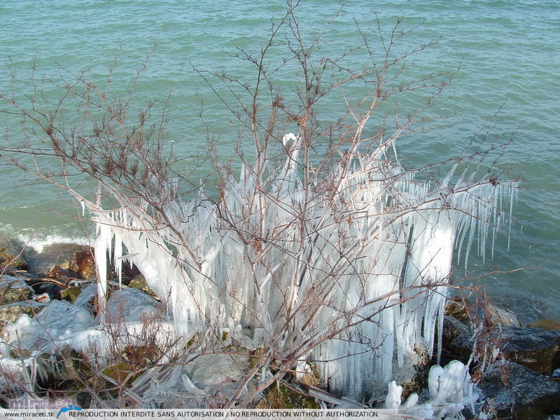Bise glaciale dans la nuit du 12 au 13 mars 2006