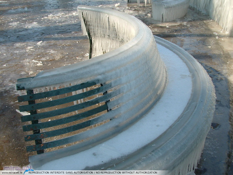 Bise glaciale dans la nuit du 12 au 13 mars 2006