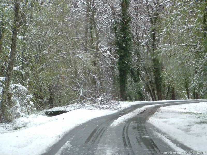 Neige fondante le 17 avril 2005