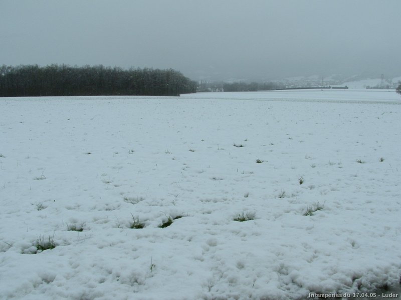 Neige fondante le 17 avril 2005