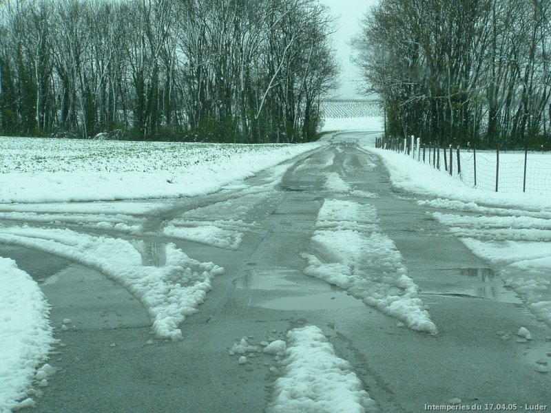 Neige fondante le 17 avril 2005