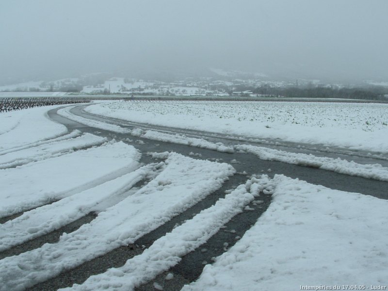 Neige fondante le 17 avril 2005