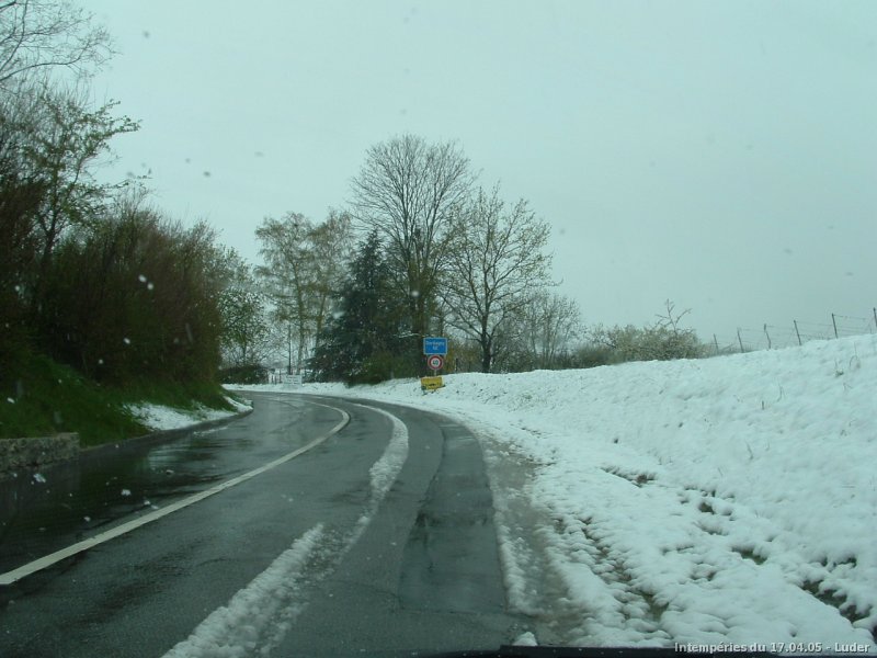 Neige fondante le 17 avril 2005