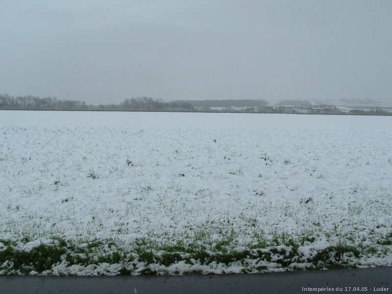 Neige fondante le 17 avril 2005