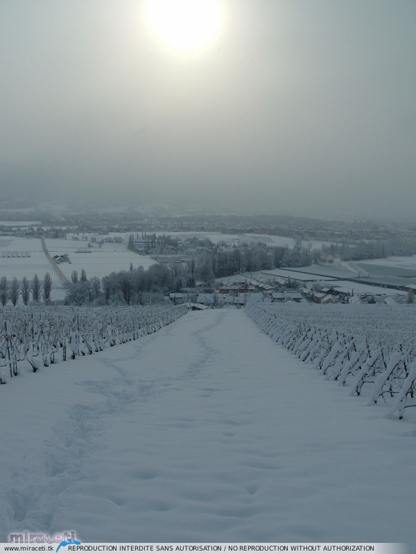 Fortes chutes de neige les 23 et 24 janvier 2007