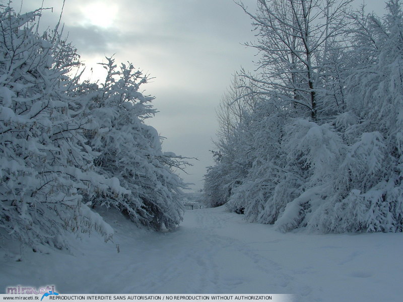 Fortes chutes de neige les 23 et 24 janvier 2007