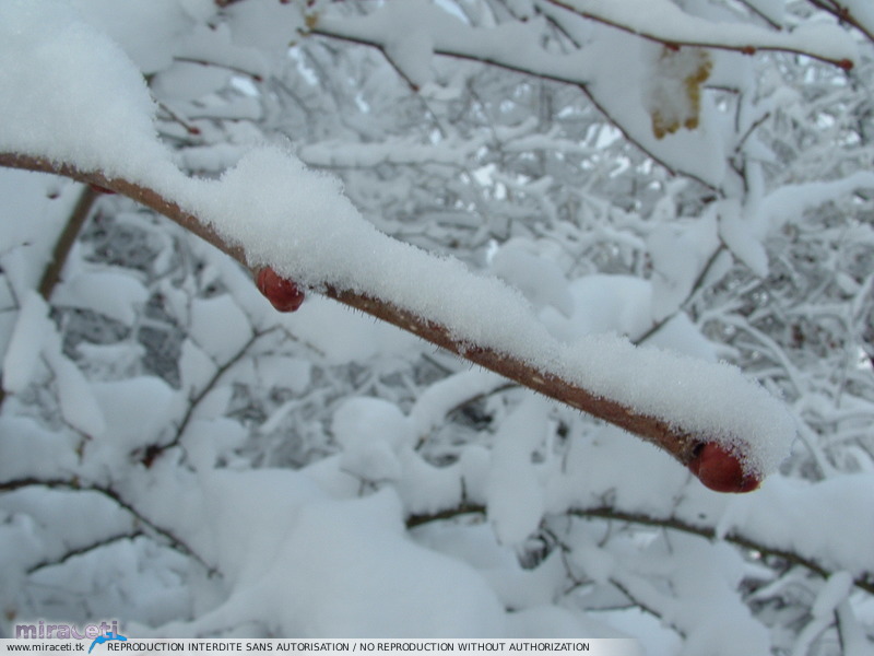 Fortes chutes de neige les 23 et 24 janvier 2007