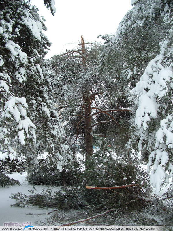 Fortes chutes de neige les 23 et 24 janvier 2007