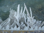 Bise glaciale dans la nuit du 12 au 13 mars 2006 : Image 9 sur 28
