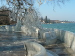 Bise glaciale dans la nuit du 12 au 13 mars 2006 : Image 22 sur 28