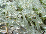 Bise glaciale dans la nuit du 12 au 13 mars 2006 : Image 23 sur 28