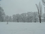 Fortes chutes de neige du 23 janvier 2005 : Image 15 sur 22