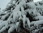 Fortes chutes de neige les 23 et 24 janvier 2007 : Image 6 sur 44 Fortes chutes de neige les 23 et 24 janvier 2007 : Image 6 sur 44