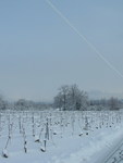 Fortes chutes de neige les 23 et 24 janvier 2007 : Image 12 sur 44 Fortes chutes de neige les 23 et 24 janvier 2007 : Image 12 sur 44