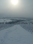 Fortes chutes de neige les 23 et 24 janvier 2007 : Image 14 sur 44 Fortes chutes de neige les 23 et 24 janvier 2007 : Image 14 sur 44
