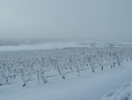 Fortes chutes de neige les 23 et 24 janvier 2007 : Image 17 sur 44 Fortes chutes de neige les 23 et 24 janvier 2007 : Image 17 sur 44