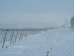 Fortes chutes de neige les 23 et 24 janvier 2007 : Image 21 sur 44 Fortes chutes de neige les 23 et 24 janvier 2007 : Image 21 sur 44