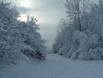 Fortes chutes de neige les 23 et 24 janvier 2007 : Image 23 sur 44 Fortes chutes de neige les 23 et 24 janvier 2007 : Image 23 sur 44