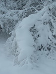 Fortes chutes de neige les 23 et 24 janvier 2007 : Image 25 sur 44 Fortes chutes de neige les 23 et 24 janvier 2007 : Image 25 sur 44