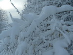 Fortes chutes de neige les 23 et 24 janvier 2007 : Image 26 sur 44 Fortes chutes de neige les 23 et 24 janvier 2007 : Image 26 sur 44