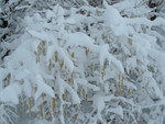 Fortes chutes de neige les 23 et 24 janvier 2007 : Image 32 sur 44 Fortes chutes de neige les 23 et 24 janvier 2007 : Image 32 sur 44