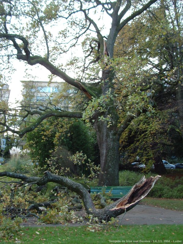 Tempte de bise du 14 novembre 2004