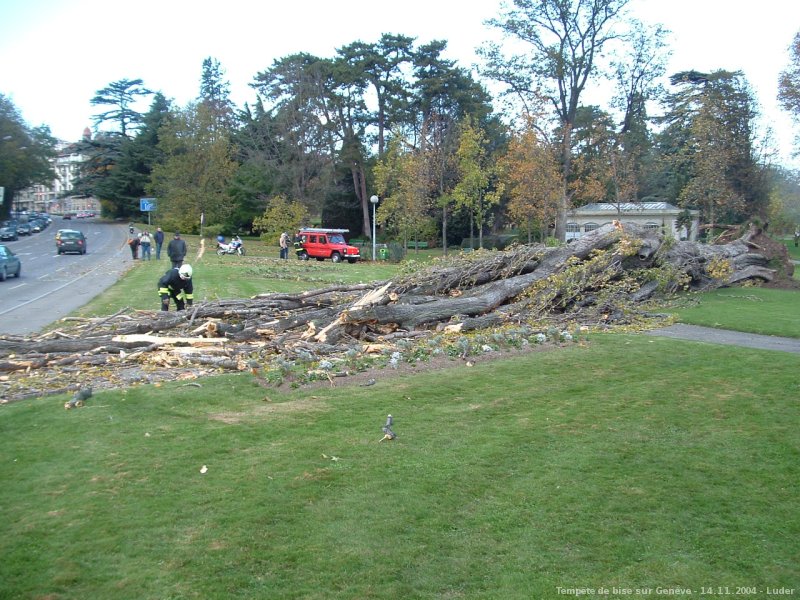 Tempte de bise du 14 novembre 2004