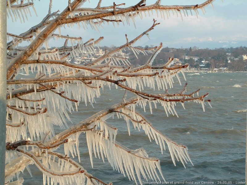 Tempte de bise glaciale du 26 janvier 2005